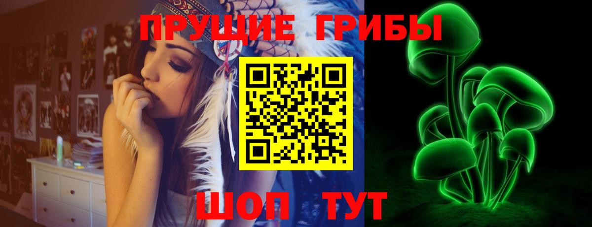 Губкин  Псилоцибиновые грибы мицелий  Вход с VPN 